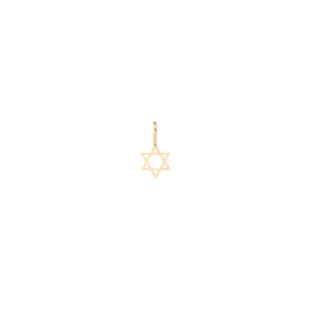 14k Midi Bitty Star of David Charm