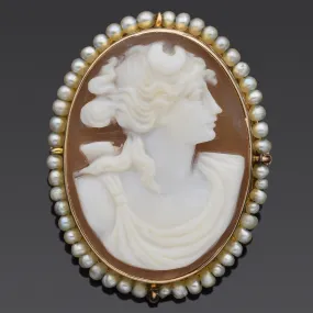 Antique 10K Yellow Gold Cameo Shell & Pearl Oval Brooch Pin Pendant