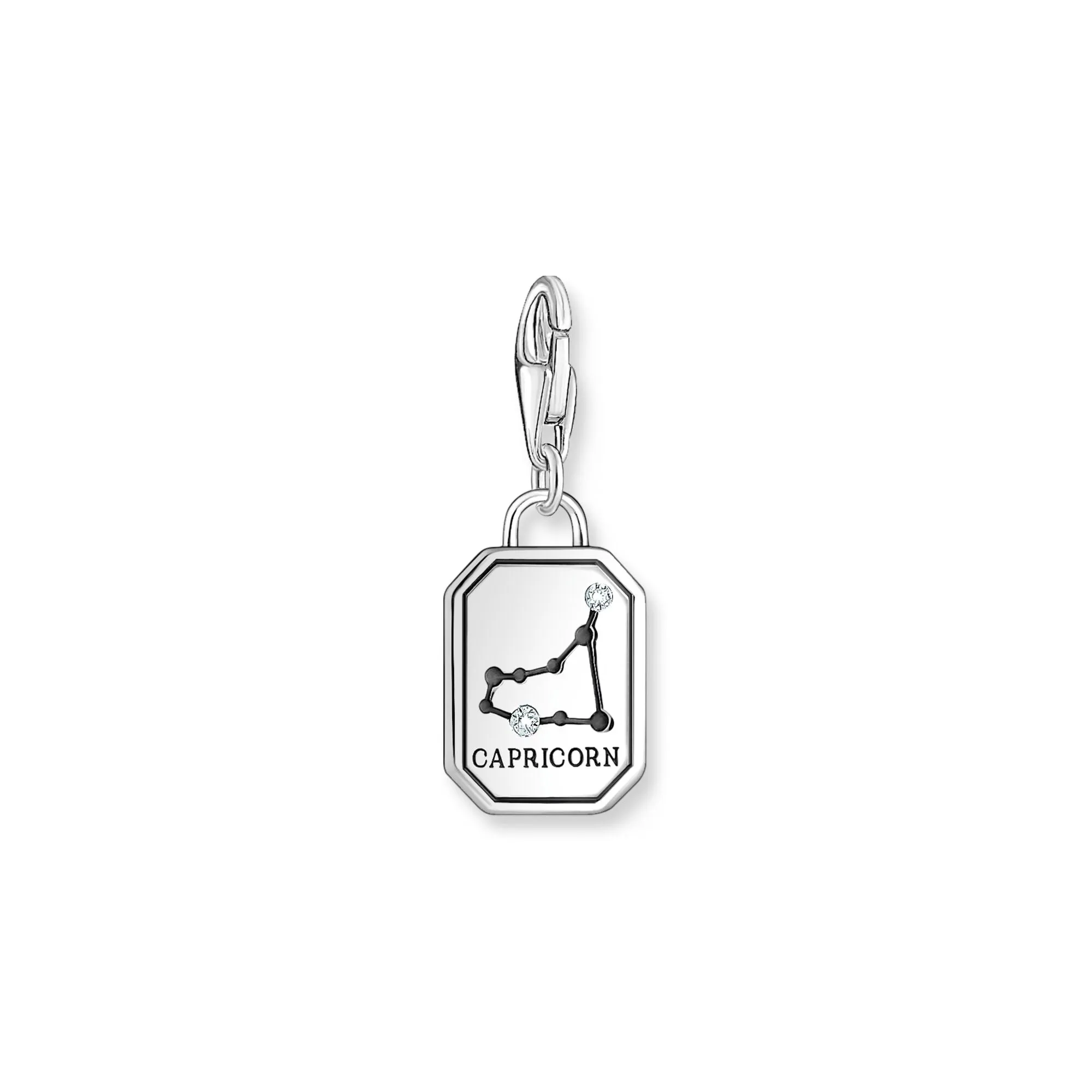 Capricorn Zodiac sign silver charm Pendant