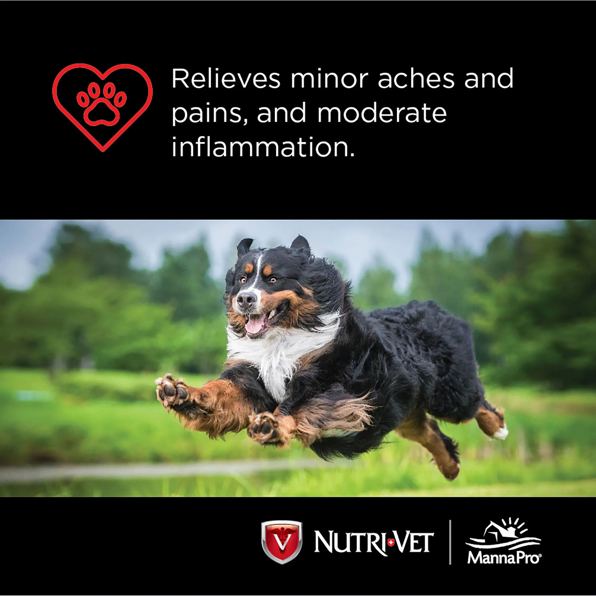 Nutri-Vet 300mg Aspirin For Dogs 75 Count