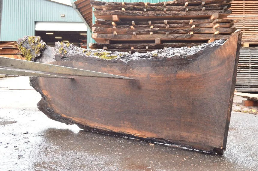 Oregon Black Walnut Slab 051222-04