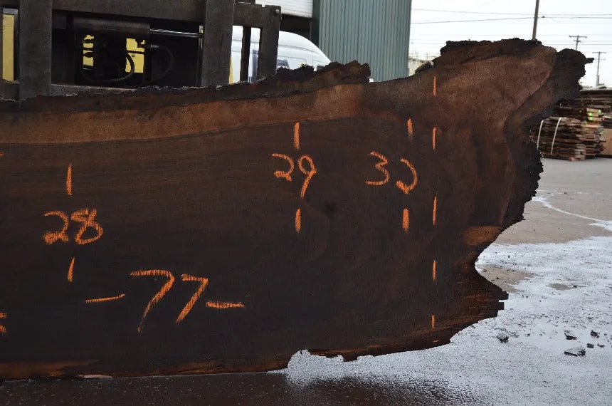 Oregon Black Walnut Slab 051222-04