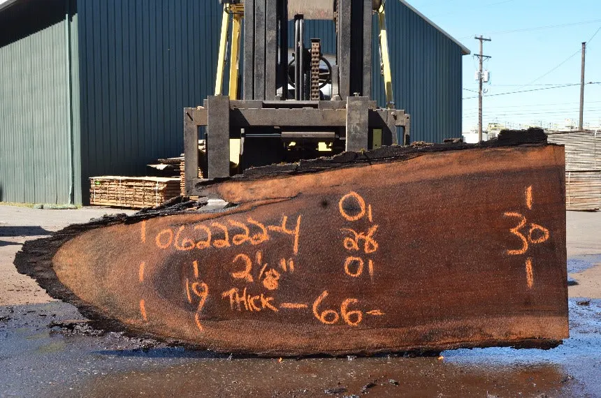 Oregon Black Walnut Slab 062222-04